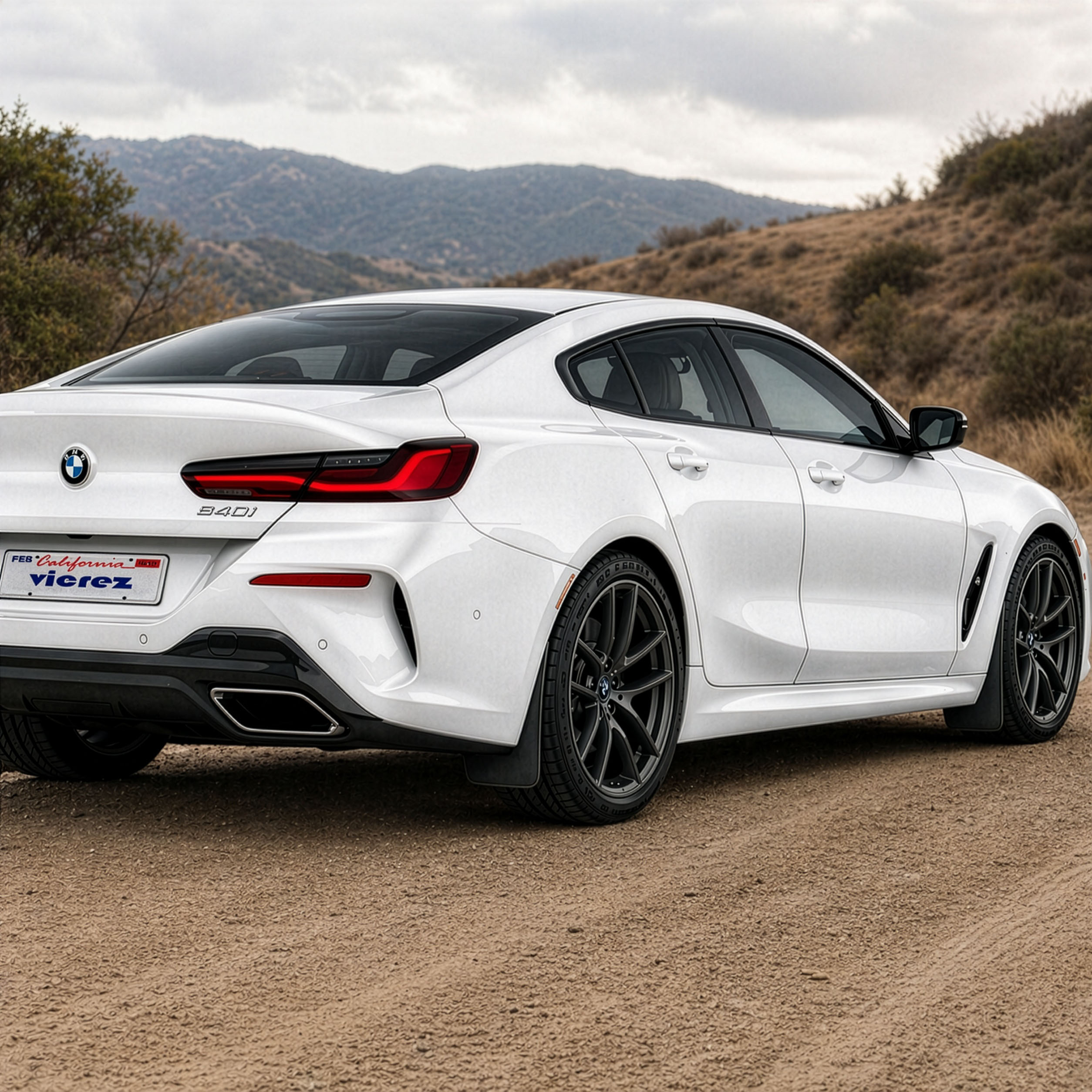 Vicrez Mud Flaps Front and Rear vz103038 | BMW 8-Series 2019-2026