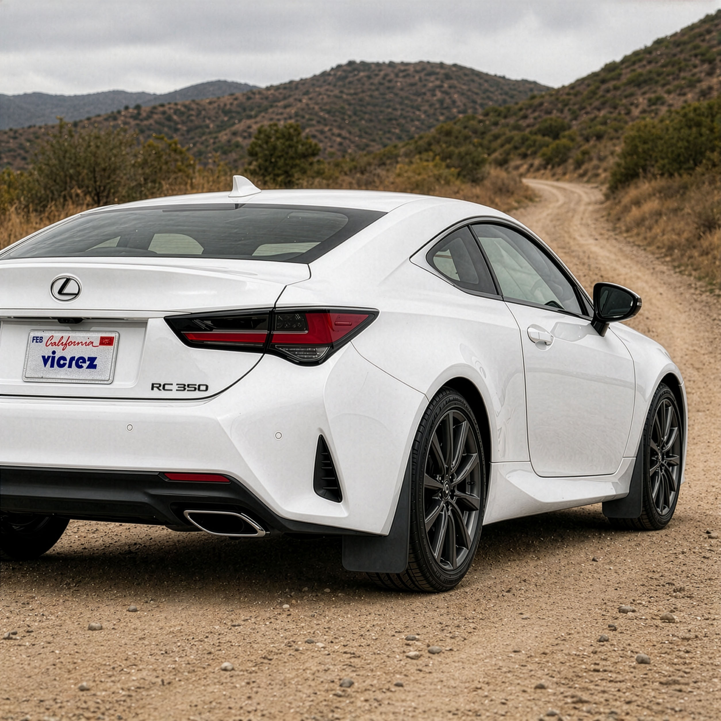 Vicrez Mud Flaps Front and Rear vz111547 | Lexus RC350 2015-2024