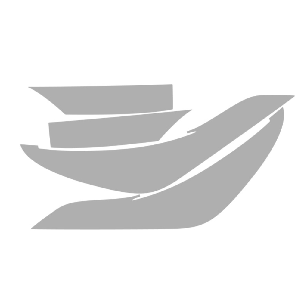 Vicrez Paint Protection PPF Pre-Cut Kit, Door Panels Front, Driver and ...