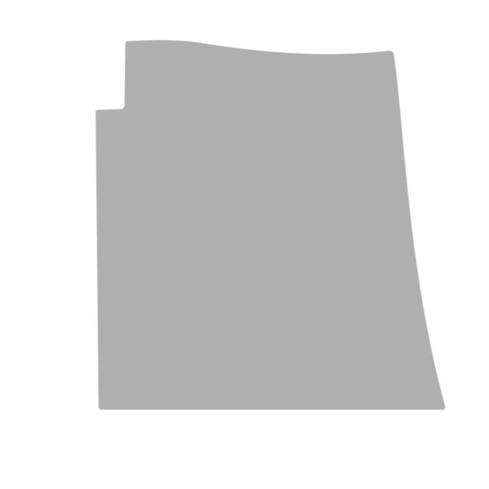 Vicrez Paint Protection PPF Pre-Cut Rocker, Front Bed Passenger ...